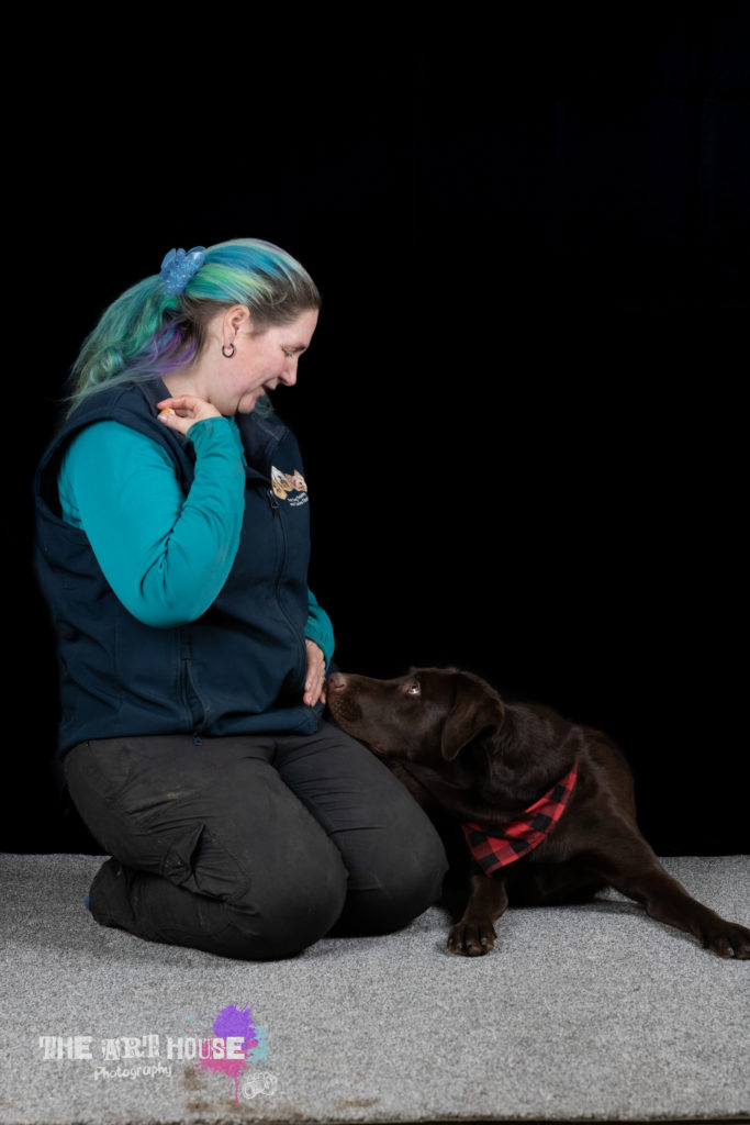 Chocolate Labrador dog laying down resting chin on a woman's leg who is kneeling