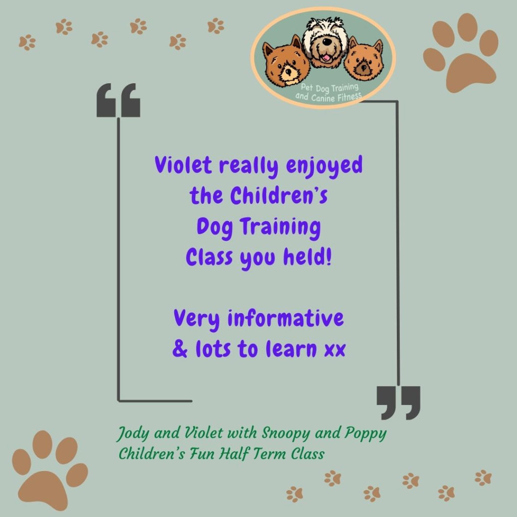 Graphic with review for children's dog training classes
