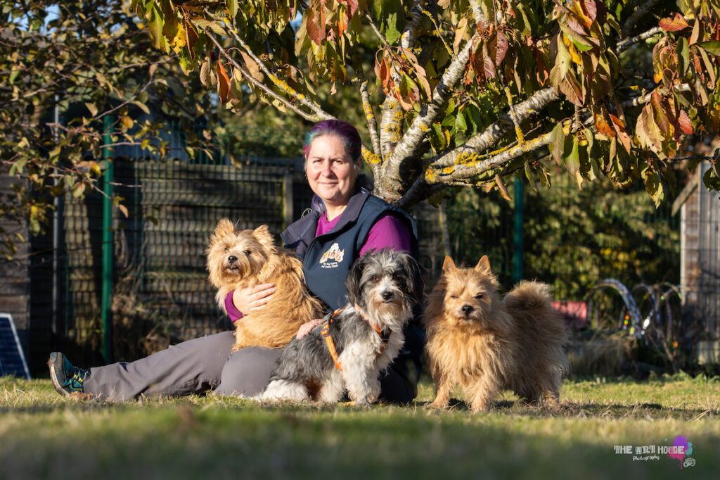 Woman with colourful hair sits under a tree with a red terrier on her knees, a grey and white small dog sitting next to her and another red terrier standing next to her left arm.