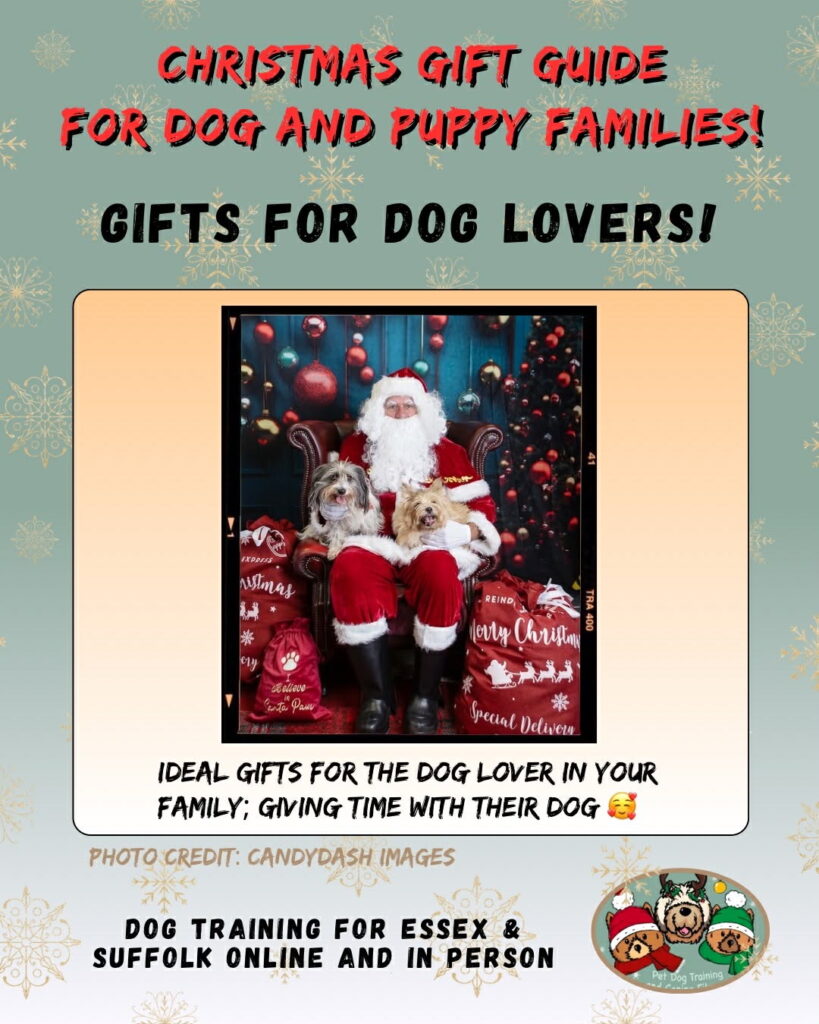 Front cover of our dog training Christmas gift guide