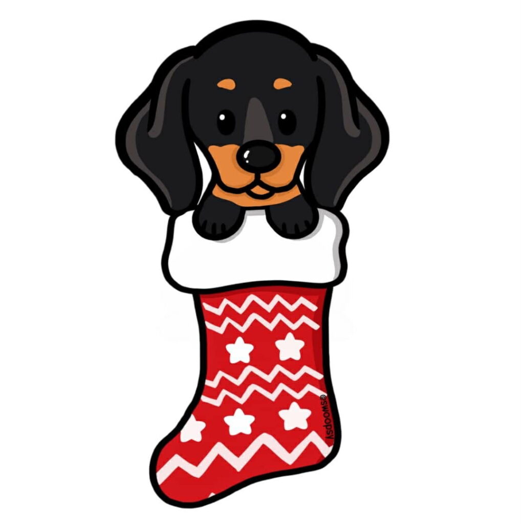 A cartoon of a miniature dachshund peeking out of the top of a red and white Christmas stocking