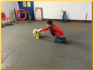 Child teaching a trick to a small white dog at dog training classes